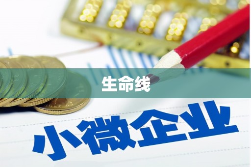 沙市生命线