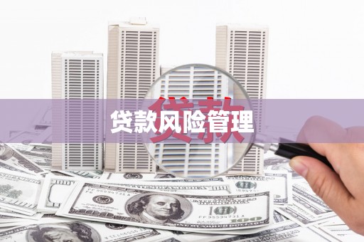 沙市贷款风险管理