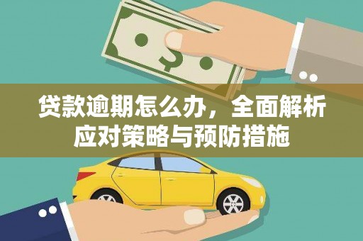 沙市贷款逾期怎么办，全面解析应对策略与预防措施