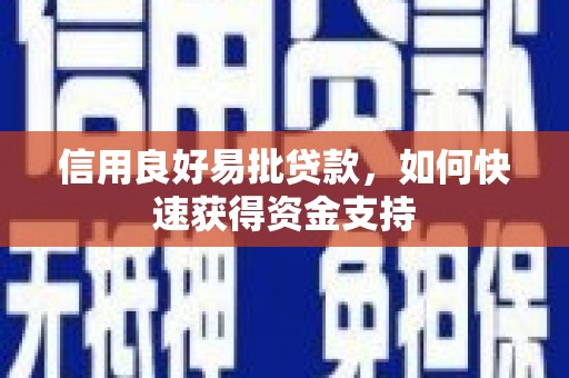 沙市信用良好易批贷款，如何快速获得资金支持