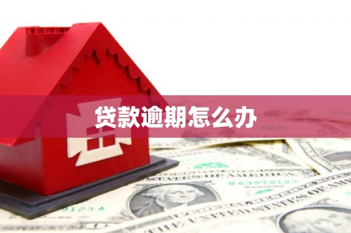 沙市贷款逾期怎么办