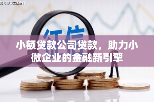 沙市小额贷款公司贷款，助力小微企业的金融新引擎