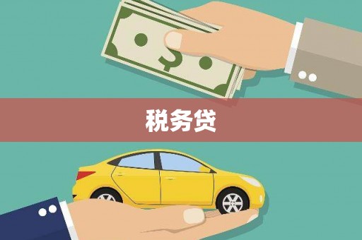 沙市税务贷