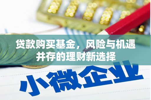 沙市贷款购买基金，风险与机遇并存的理财新选择
