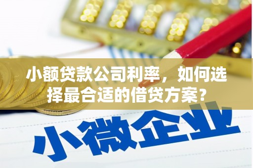 沙市小额贷款公司利率，如何选择最合适的借贷方案？