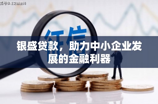 沙市银盛贷款，助力中小企业发展的金融利器