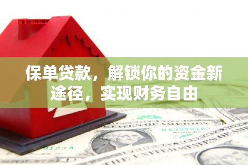 沙市保单贷款，解锁你的资金新途径，实现财务自由