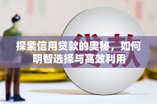 沙市探索信用贷款的奥秘，如何明智选择与高效利用