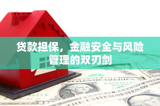 沙市贷款担保，金融安全与风险管理的双刃剑