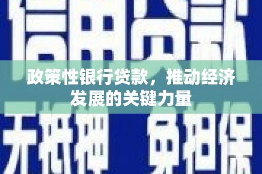 沙市政策性银行贷款，推动经济发展的关键力量