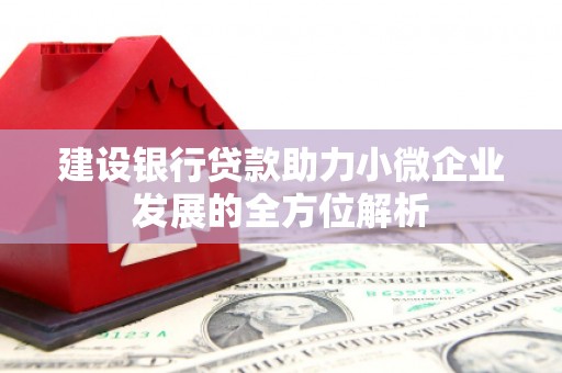 沙市建设银行贷款助力小微企业发展的全方位解析