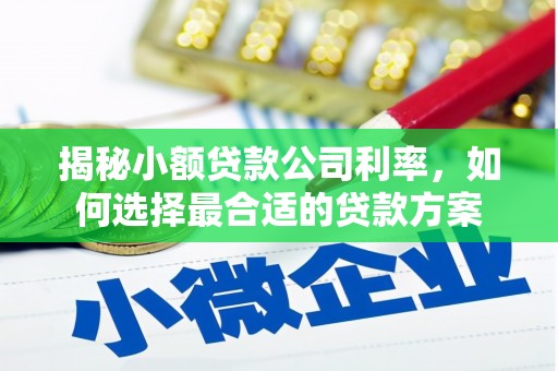 沙市揭秘小额贷款公司利率，如何选择最合适的贷款方案