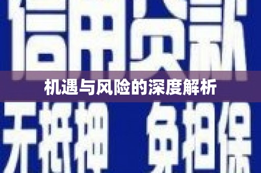 沙市机遇与风险的深度解析