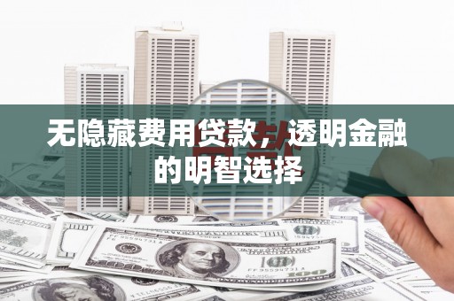 沙市无隐藏费用贷款，透明金融的明智选择