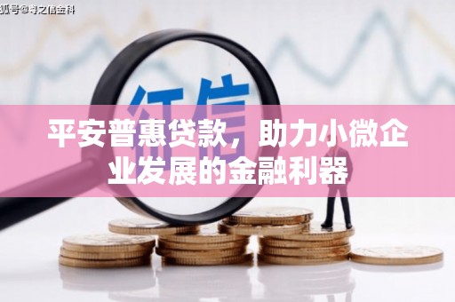沙市平安普惠贷款，助力小微企业发展的金融利器