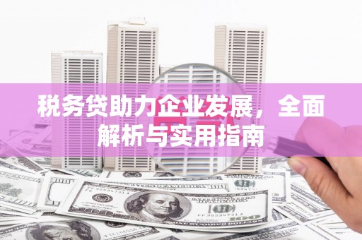 沙市税务贷助力企业发展，全面解析与实用指南
