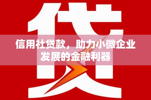 沙市信用社贷款，助力小微企业发展的金融利器