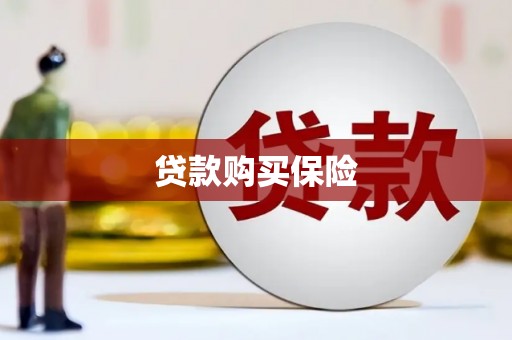 沙市贷款购买保险