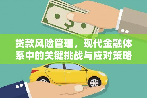 沙市贷款风险管理，现代金融体系中的关键挑战与应对策略