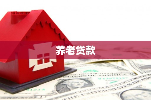 沙市养老贷款
