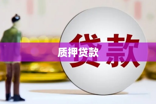 沙市质押贷款