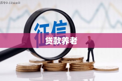 沙市贷款养老